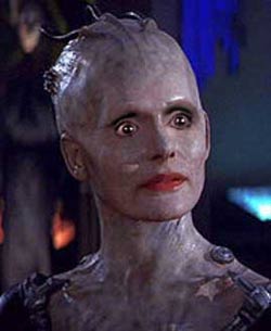 nancy pelosi progressive borg