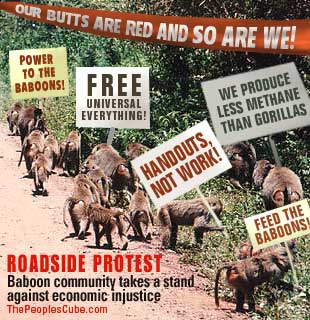 Baboon Rally Baboon Rally
