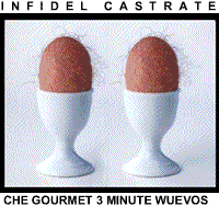 Che 3 Minute Wuevos Fidel Castro