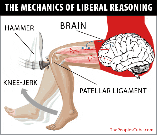 Knee_Jerk_Liberal_Reason500.gif