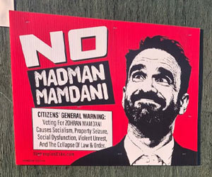 Mamdani posters