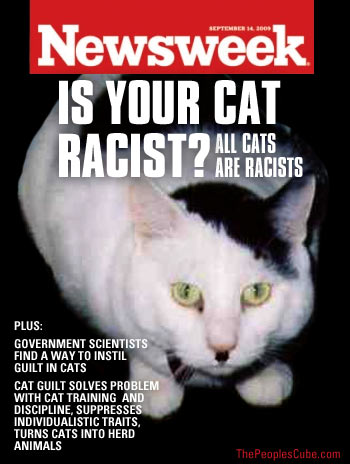 Newsweek_Racist_Cats.jpg