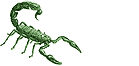 scorpion political blog pic