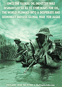 NO WAR FOR ALGAE!
