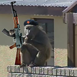 monkey gun political humor blog pic