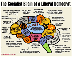 liberal brain political cartoon