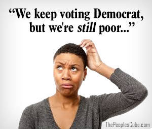 Low Information Voters cartoon