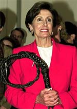 pelosi whip
