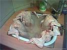 chicken hot tub