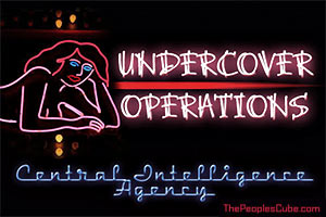 Erotic intelligence briefings 50 shades of CIA sexy director