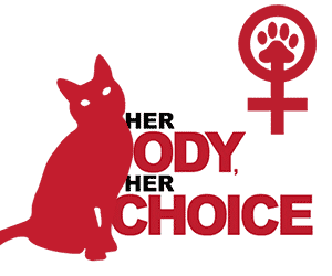 Cat abortion