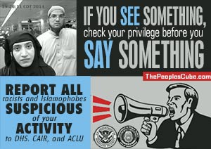 DHS: If you see something parody