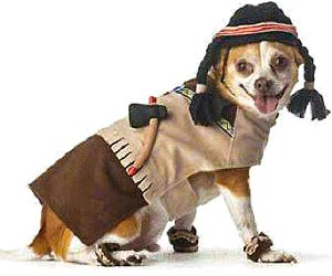 Elizabeth Warren's dog