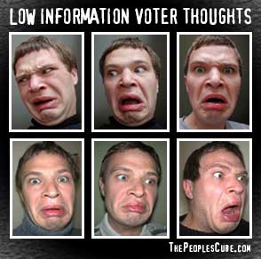 Funny Low Information Voter Thoughts political satire