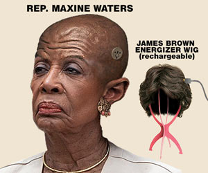 Maxine Waters wig