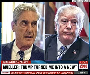 Mueller newt