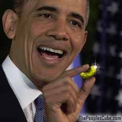 Obama Trades Gitmo Detainees for Magic Beans