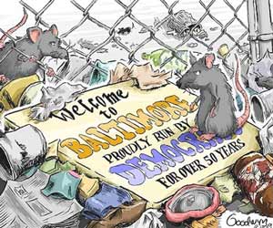 Dem rats