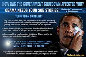 MORE Sob Stories about Shutdown funny cartoon